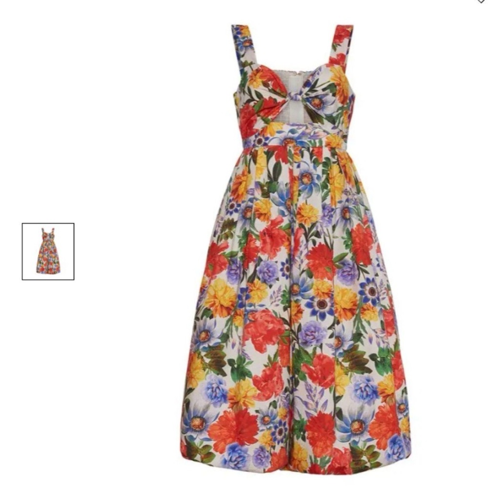 Cara Cara Laurel Egret Blossoms dress - NWT